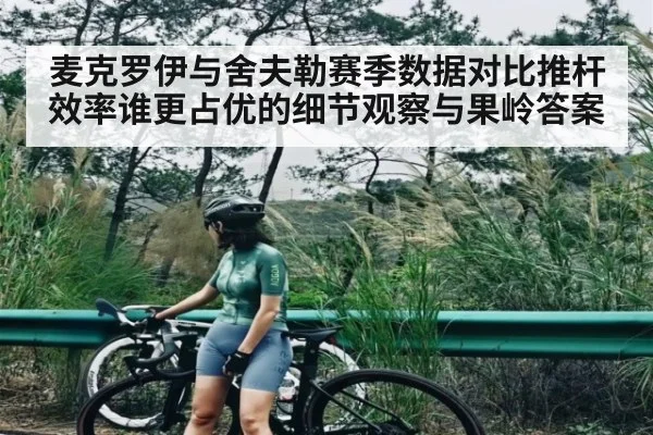 麦克罗伊与舍夫勒赛季数据对比推杆效率谁更占优的细节观察与果岭答案